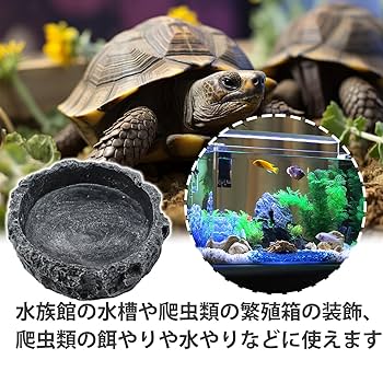Amazon | PAVIKE 爬虫類 水入れ 爬虫類 餌入れ 爬虫類用 水飲み